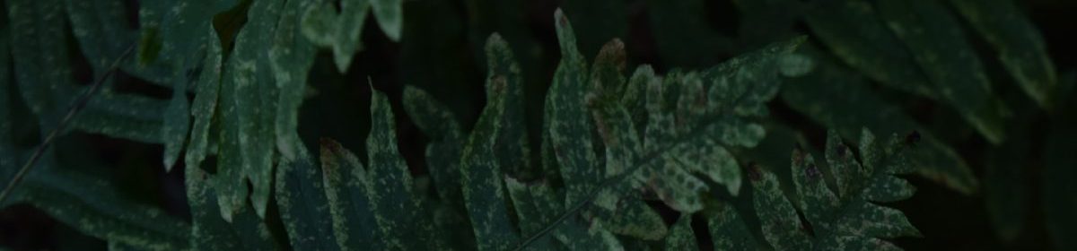 June Tamo | Tatouage | Landes, Soustons